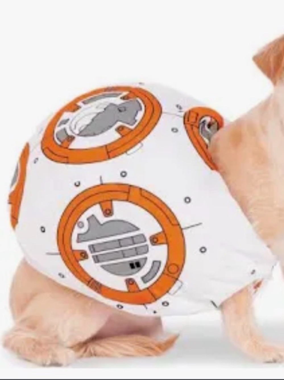 Star Wars BB-8 Pattern White and Orange Dog costume